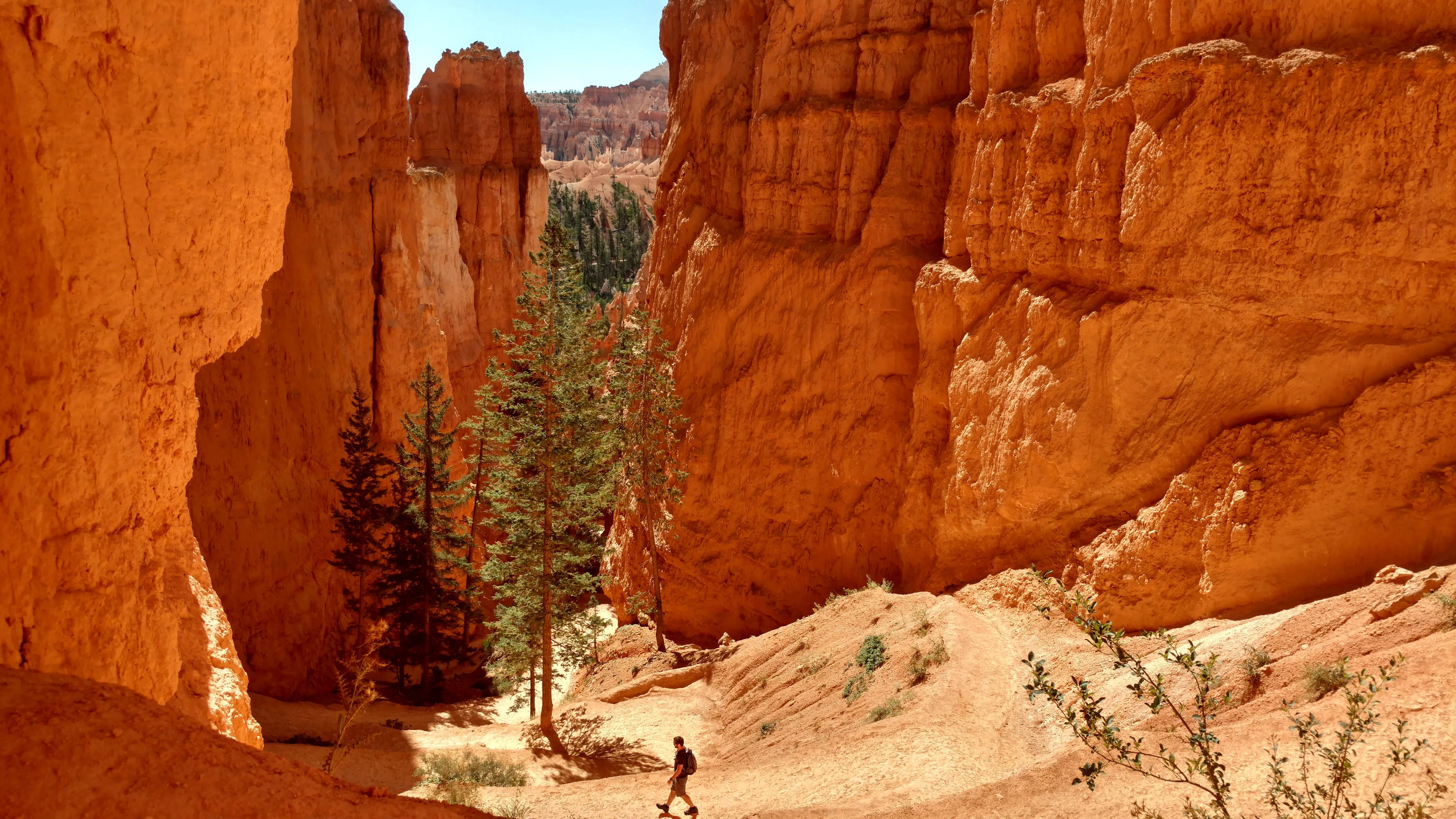 zion/IMG_20160905_112309696_HDR.jpg