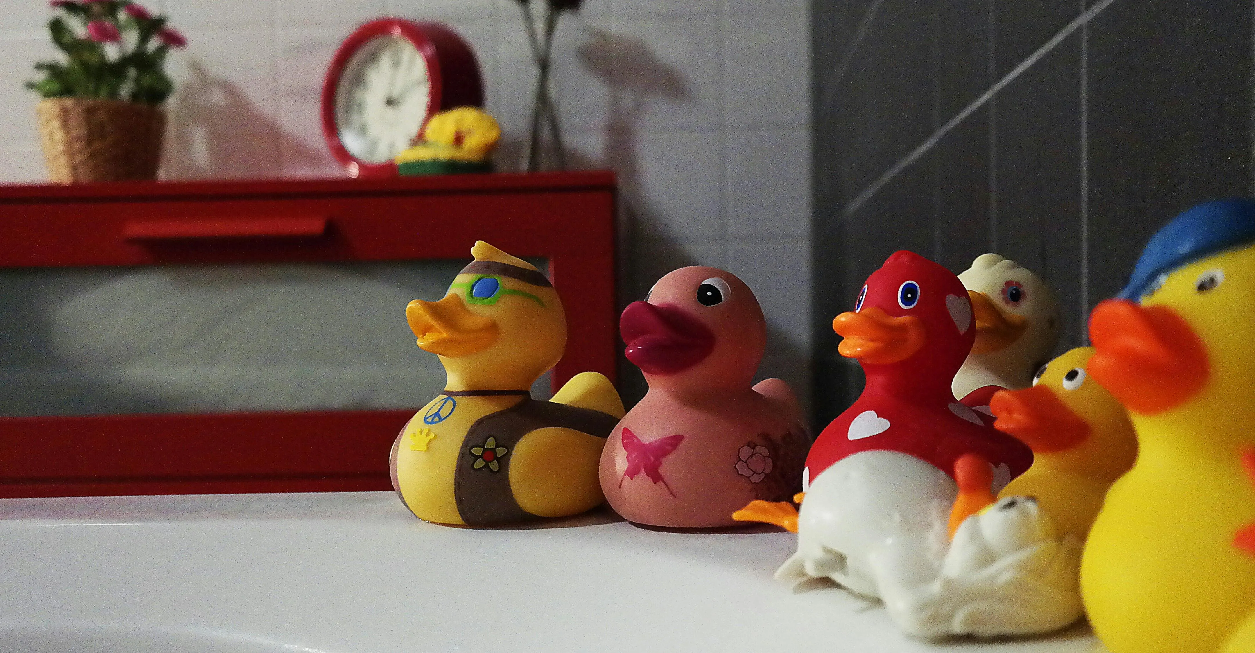 Assorted rubber ducks